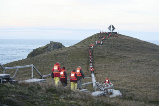 Walking to cape horn