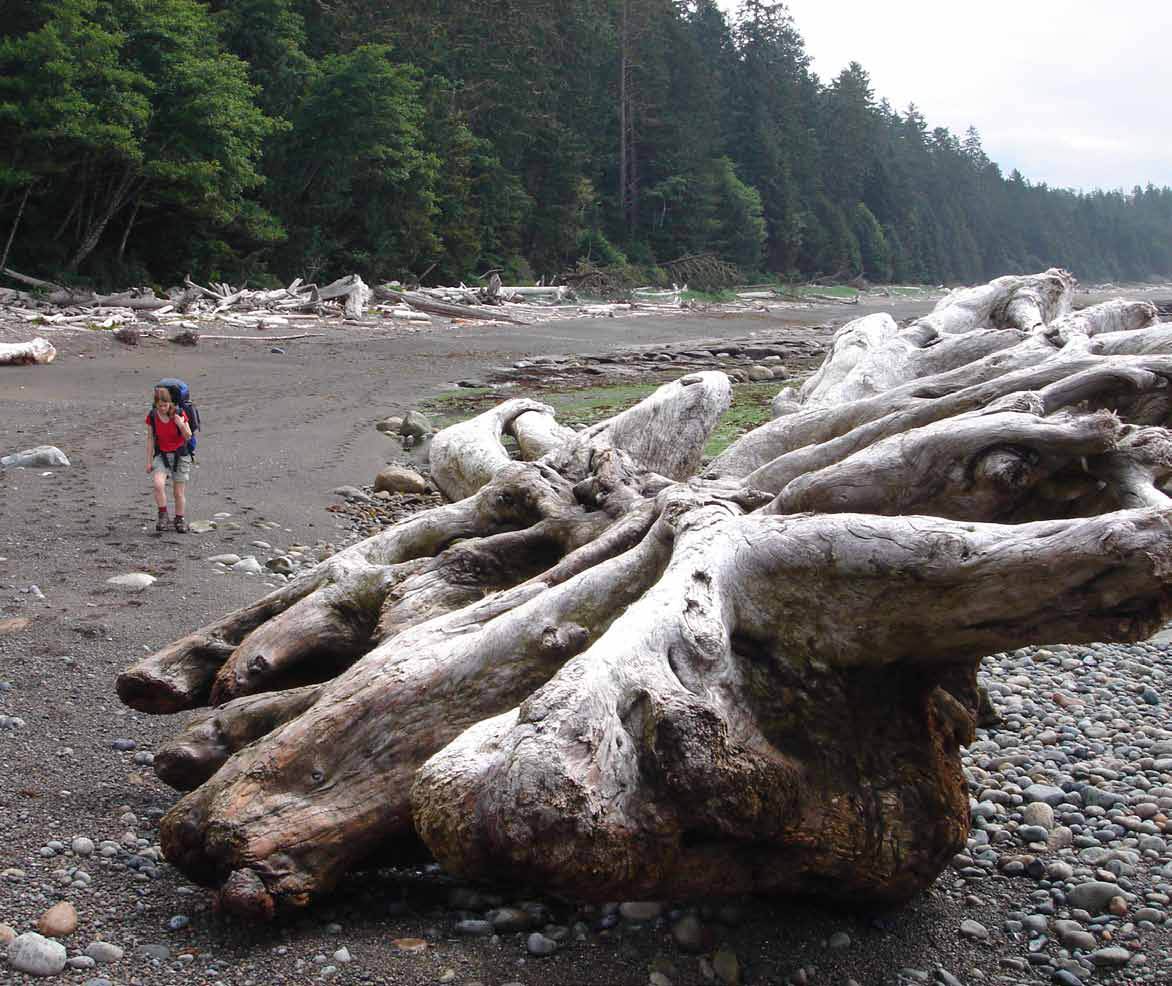 west coast trail british columbia CREDIT Pete Coombs