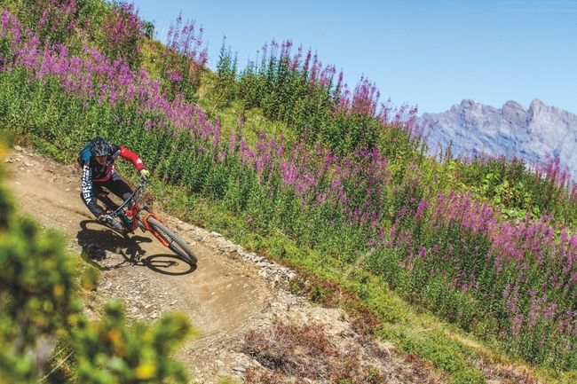 Wouaiy MTB trail Verbier, Switzerland CREDIT Tristan KennedyIMG.jpg