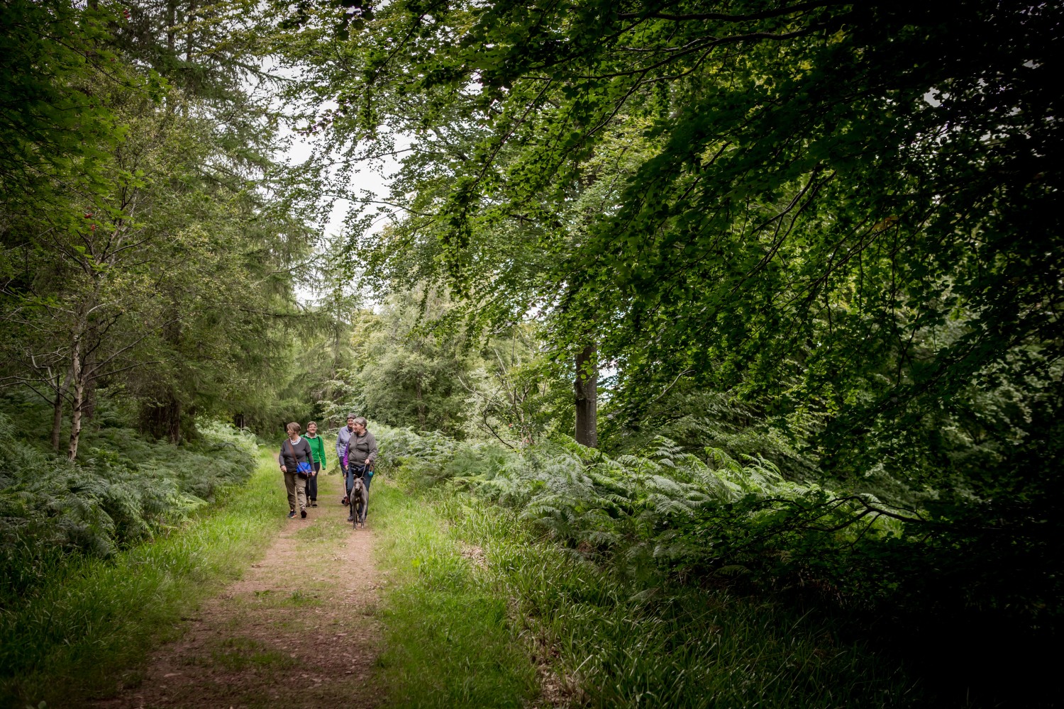 herring-trail-east-lothian-scotland