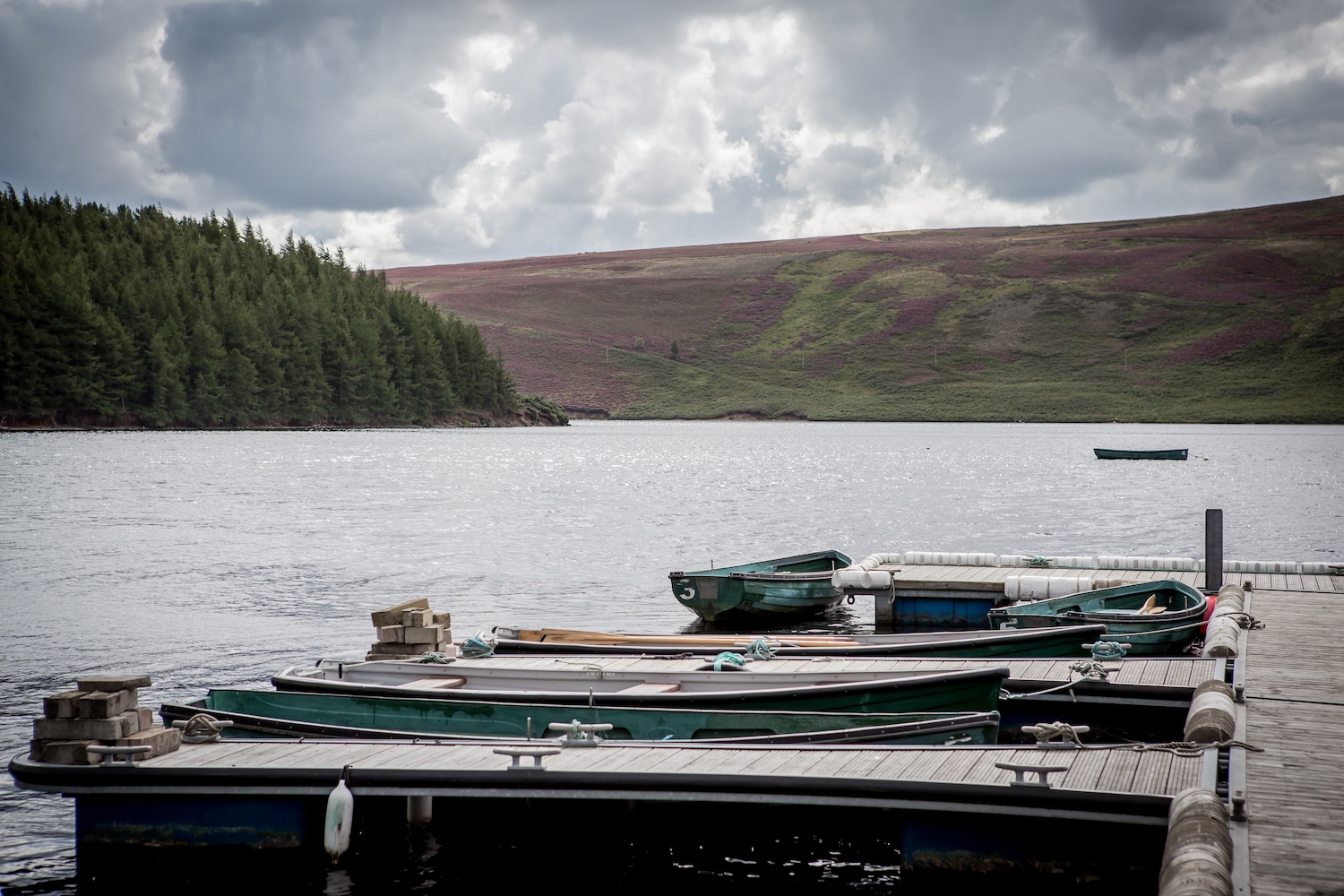 Boats at Whiteadder Reservoir with trees in background, East Lothian
