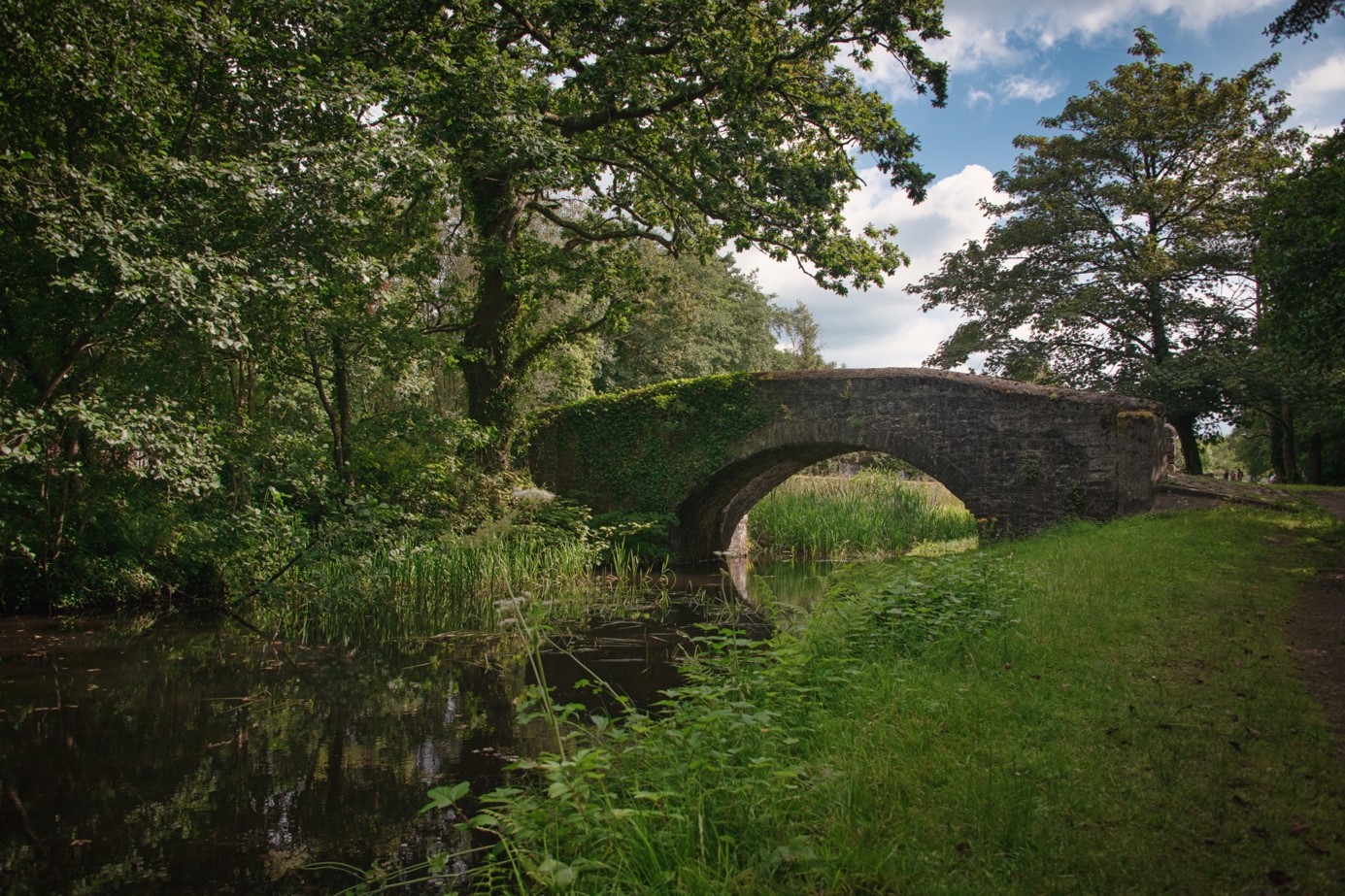 alfred-russel-wallace-trail-dramatic-heart-of-wales