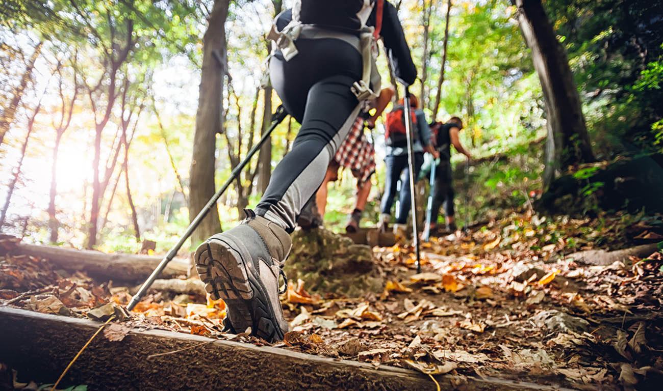 Best walking trousers for women for hiking and short walks