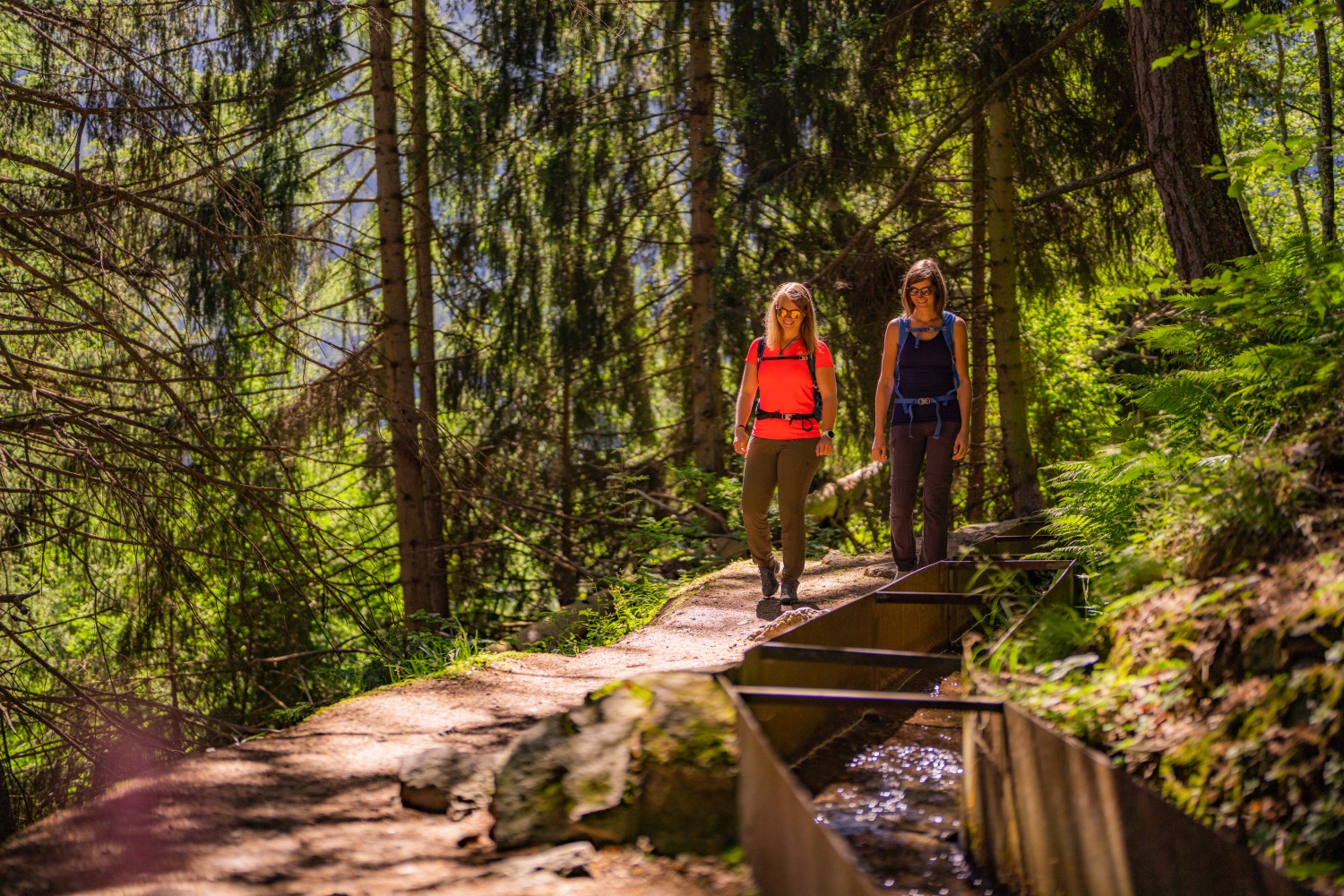 bisse-du-milieu-footpath-nendaz-switzerland