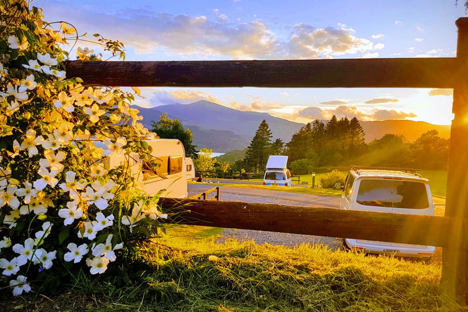 Campers parked with flowers in foreground and mountains and sunset in background - Castlerigg Hall Campsite, Lake District