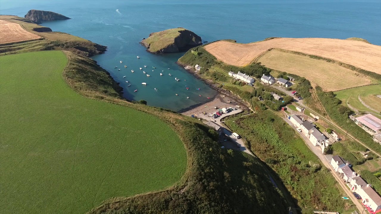 Trellyn-Woodland-Camping-Abercastle-Pembrokeshire