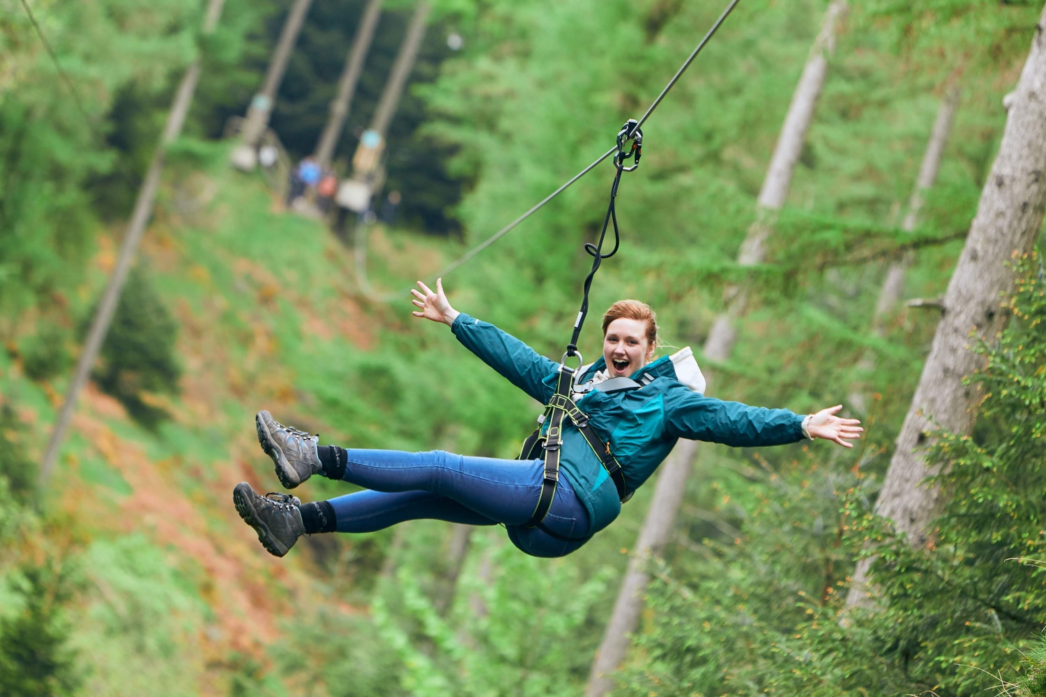 go-ape-grizedale-uk