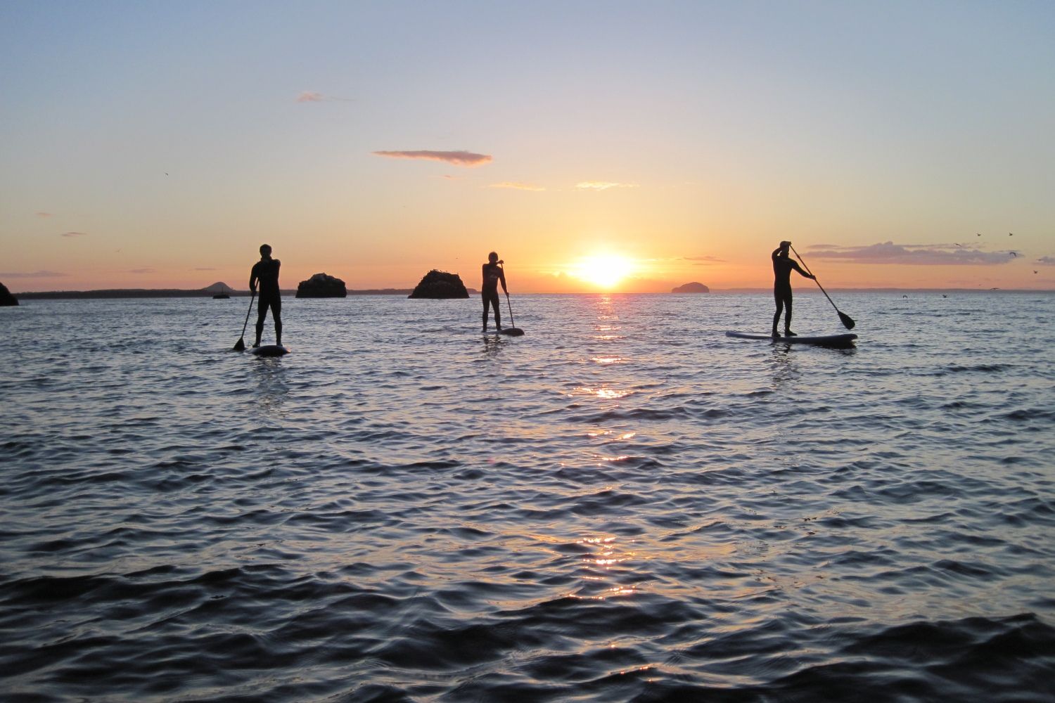 People on stand up paddleboards with sunset background
