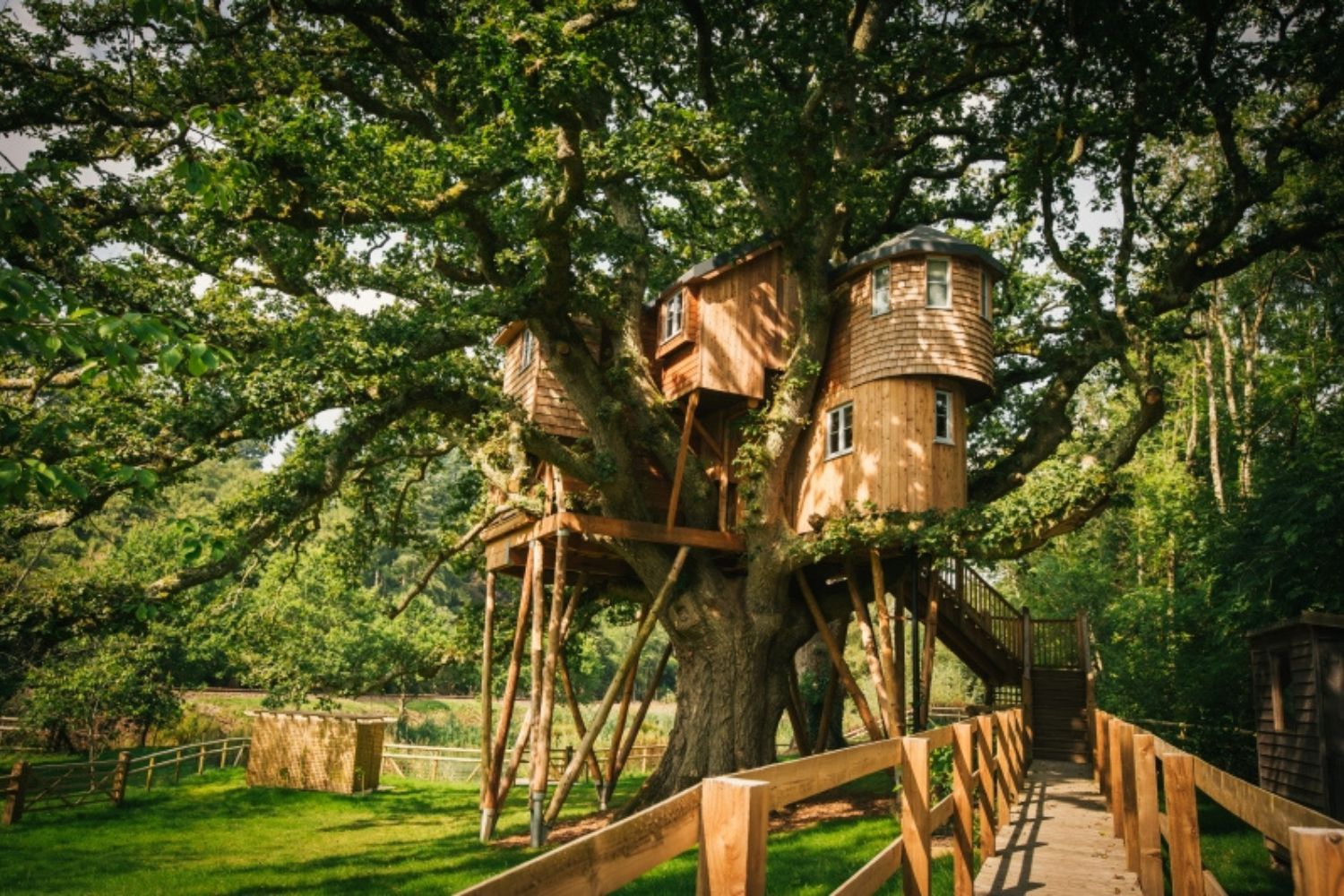 Large wooden two-storey treehouse in big, leafy tree - The Fox and Hounds Hotel, North Devon