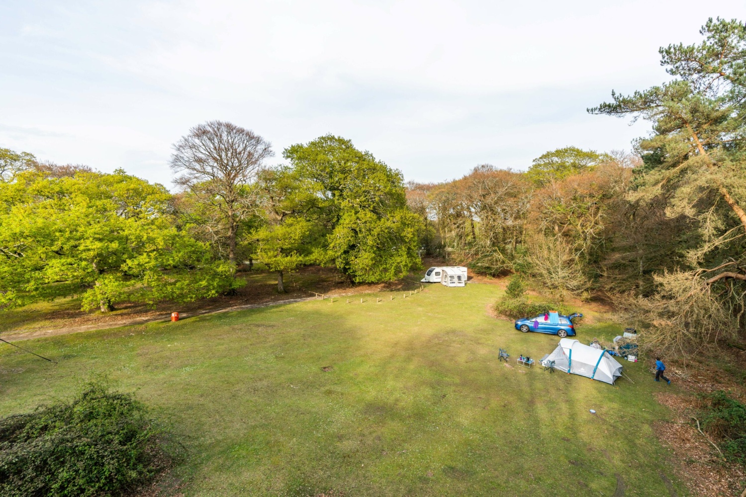 longbeech-campsite-new-forest-uk