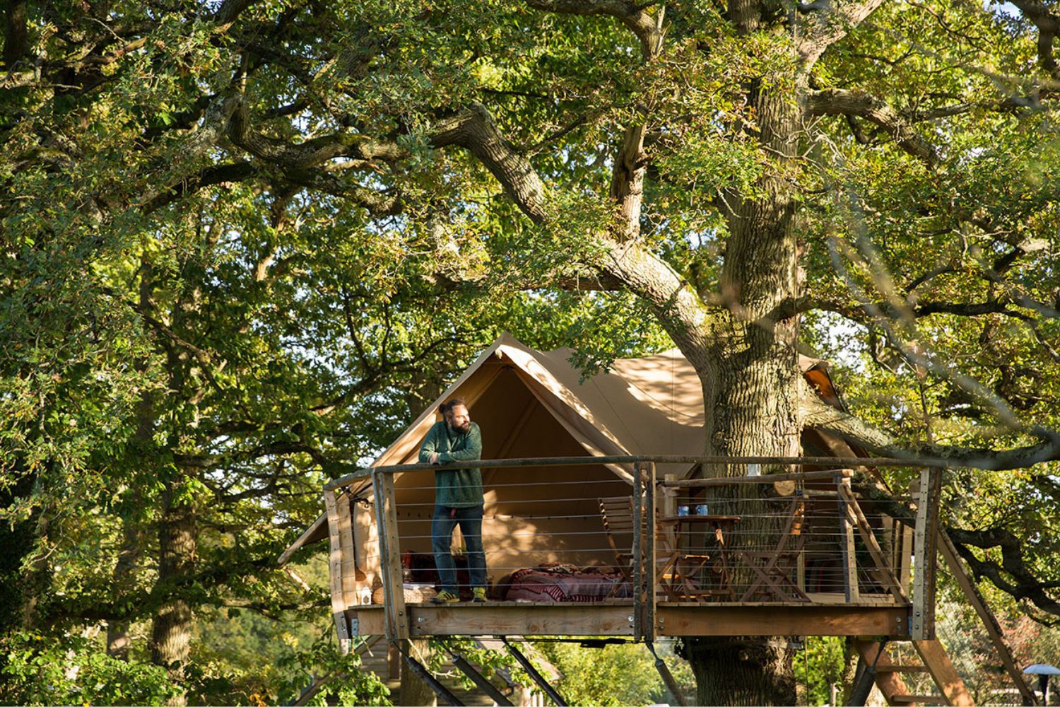 Man looking out from treehouse on sunny day - Tawny Owl Treehouse, Knepp Rewilding Project, Sussex, England