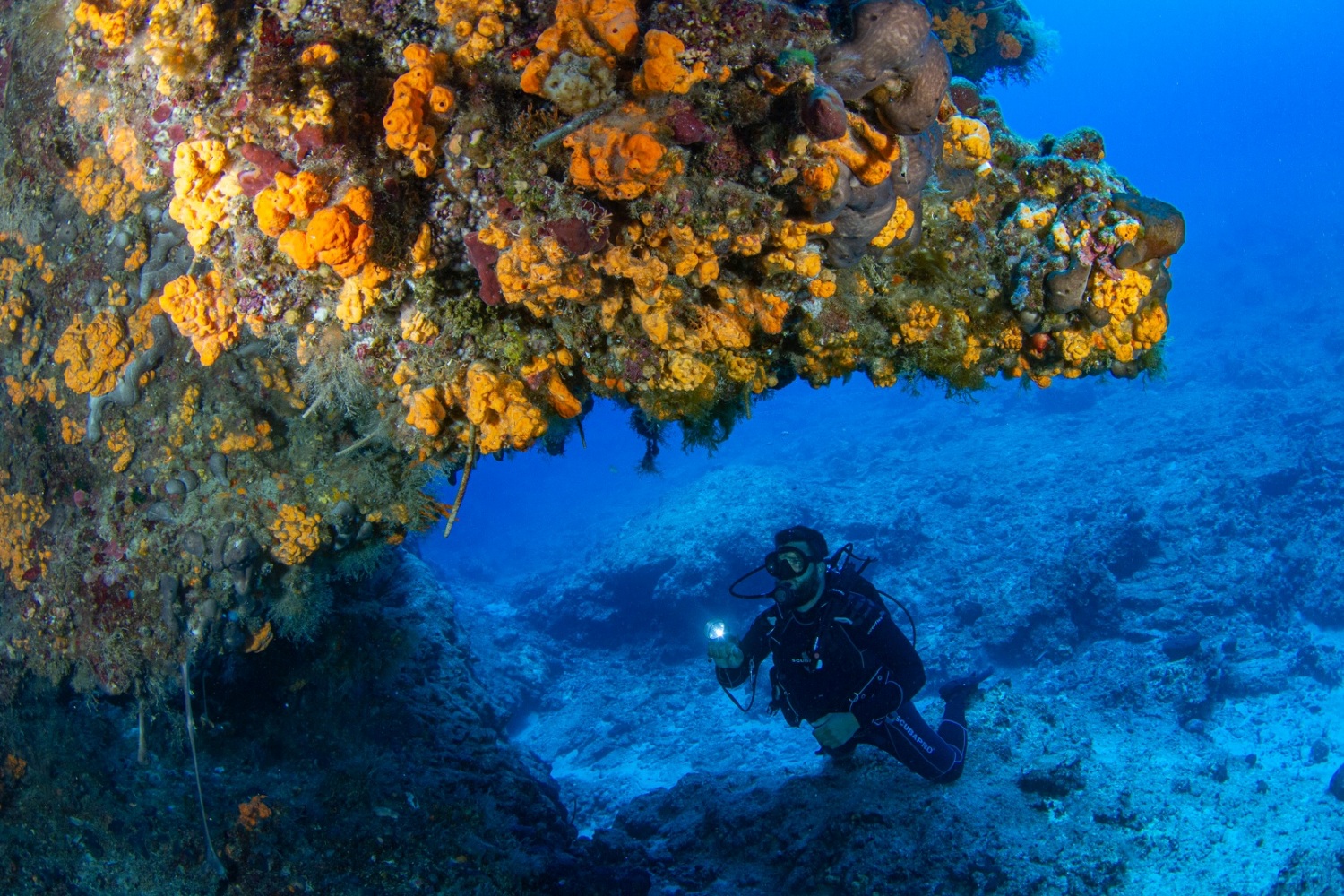 scuba-diving-crete