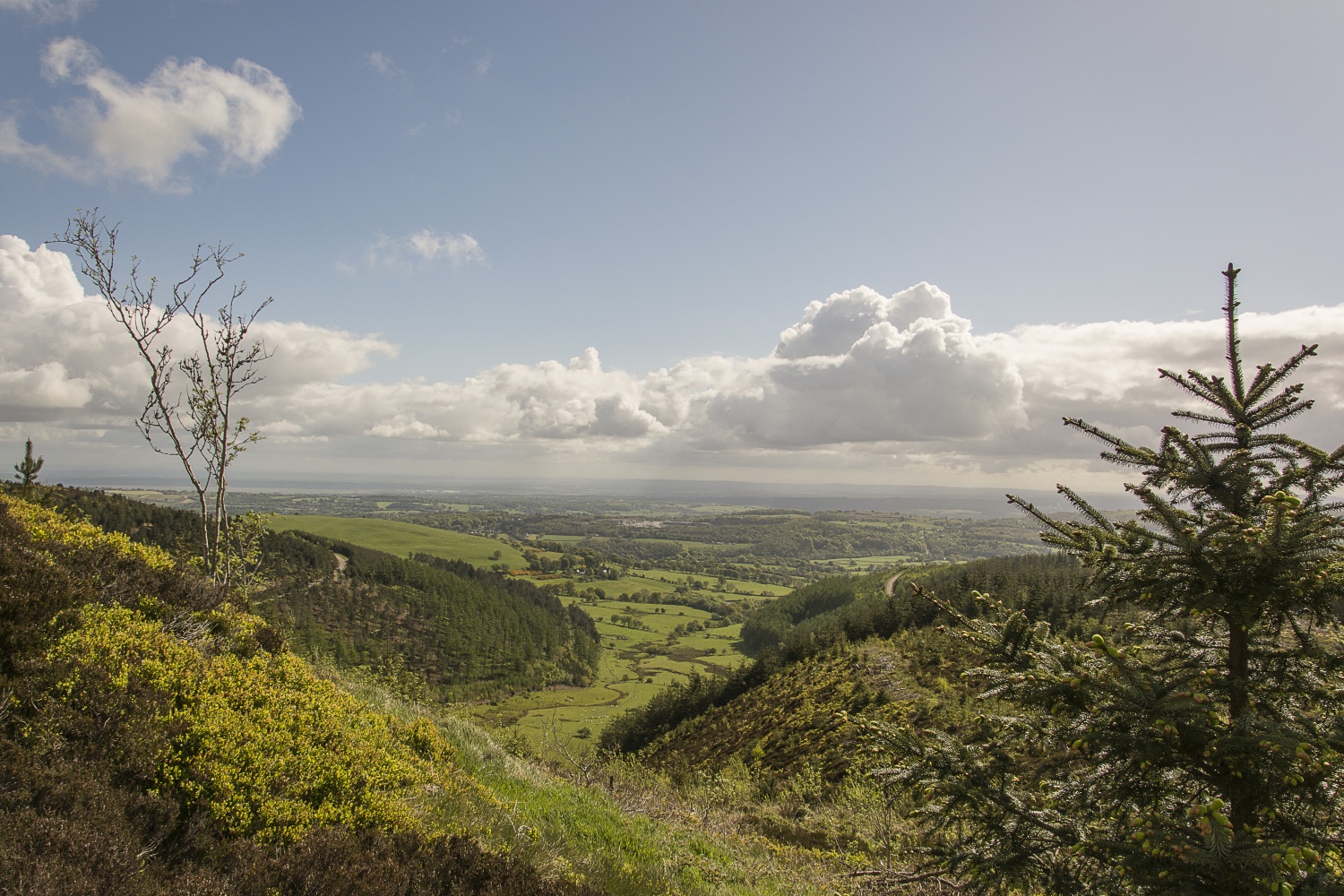 View across green valley - Moel Famau, Offas Dyke Path