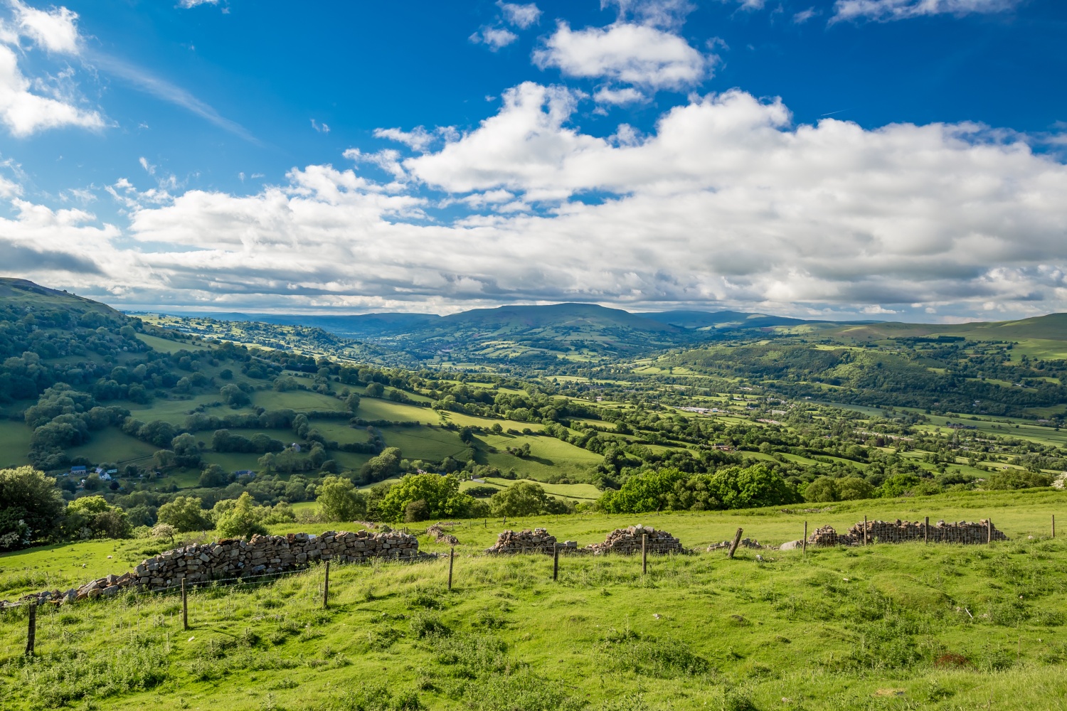 View with green fields, trees and hills on sunny day - Brecon Beacons