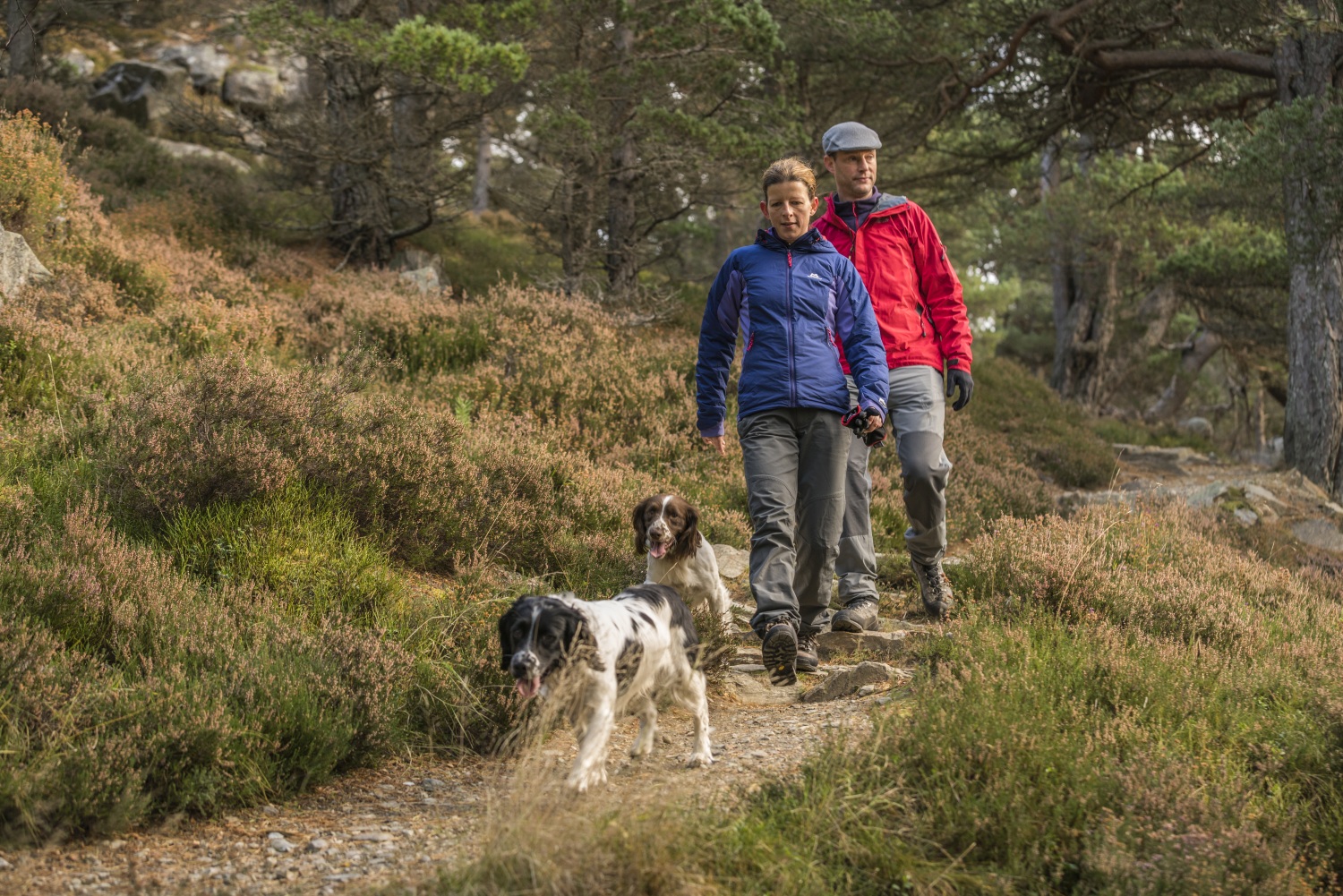 hillwalking-braemar-hills-aberdeenshire-scotland