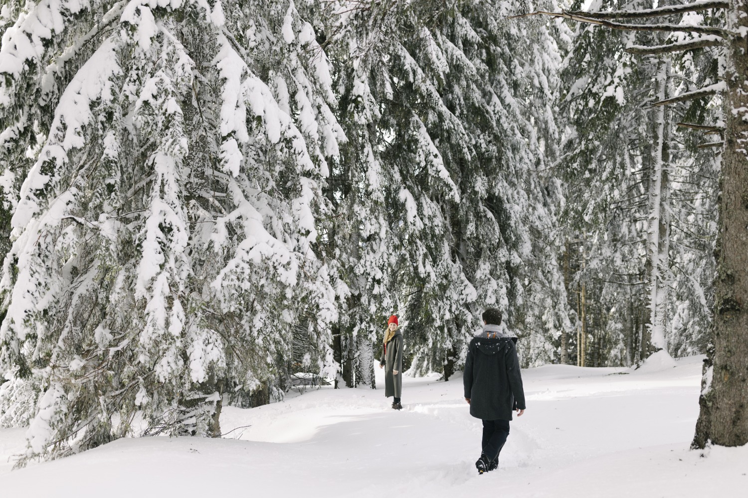 winter-hiking-kitzbuhel