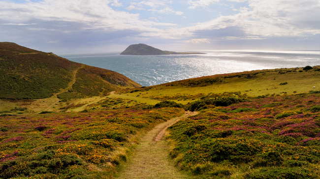 Bardsey Island from the hills above Aberdaron on the Llŷn Peninsula, North Wales.jpg