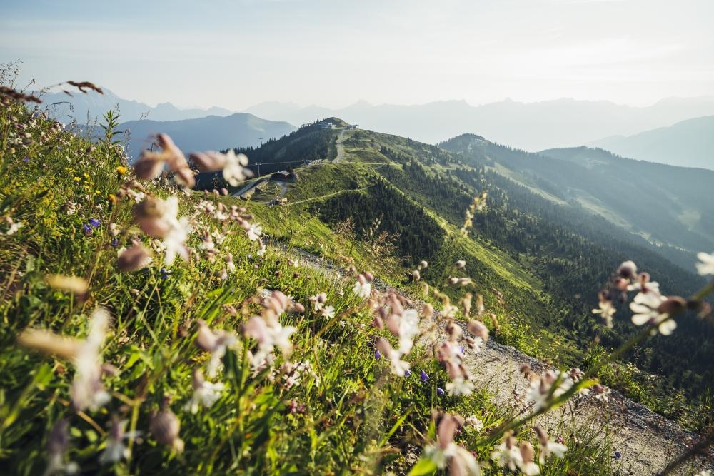 beautiful alpine scenery in the mountains of zell am see kapruncredit zell am see kaprun tourismus