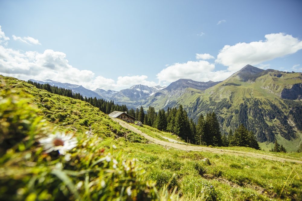 beautiful summer landscapes of salzburgerland perfect for cyclists