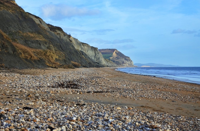 Charmouth Beach, Dorset.jpg