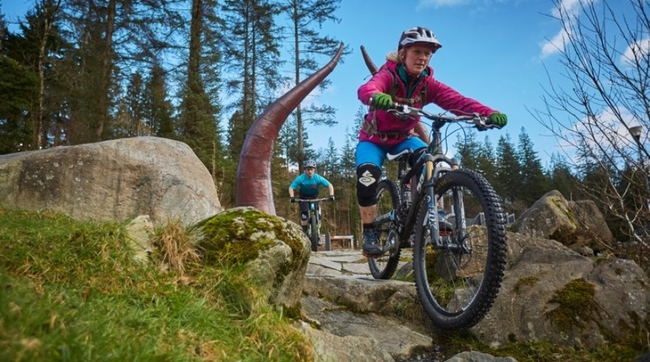 Coed y Brenin MTB centre.jpg