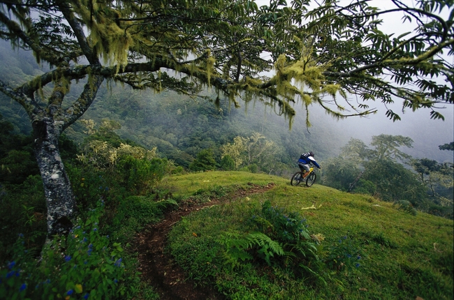 Cycling_Costa_Rica_CREDIT_iStock.jpg