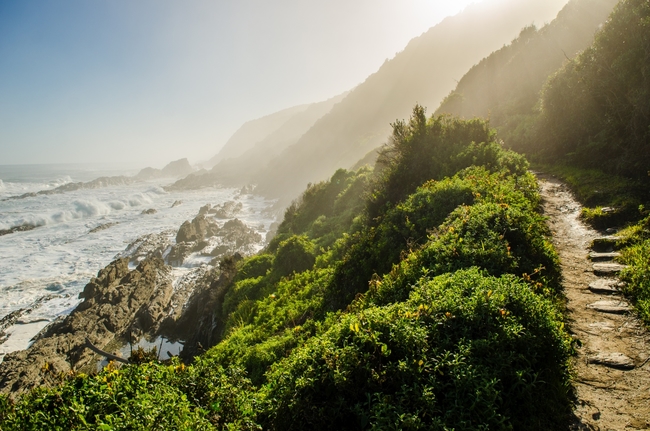 Cycling_the_Garden_Route_South_Africa_CREDIT_iStock.jpg