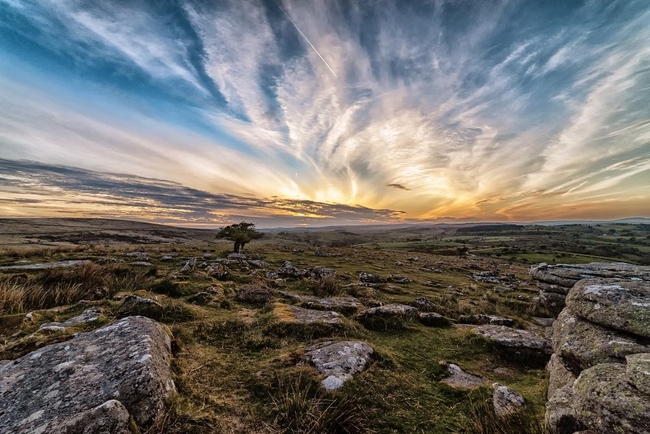 Dartmoor, Devon, England.jpg