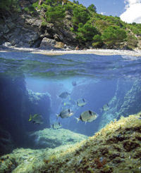 dive costa brava spain