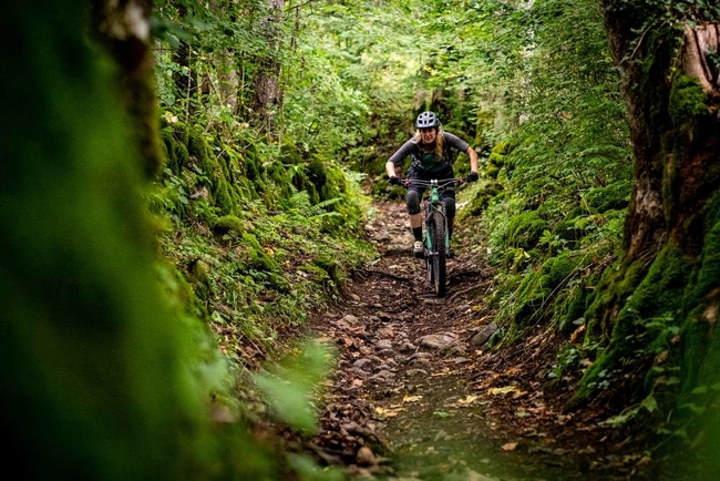 Getting to grips with the forest trails by MTB in Morzine, France.jpg