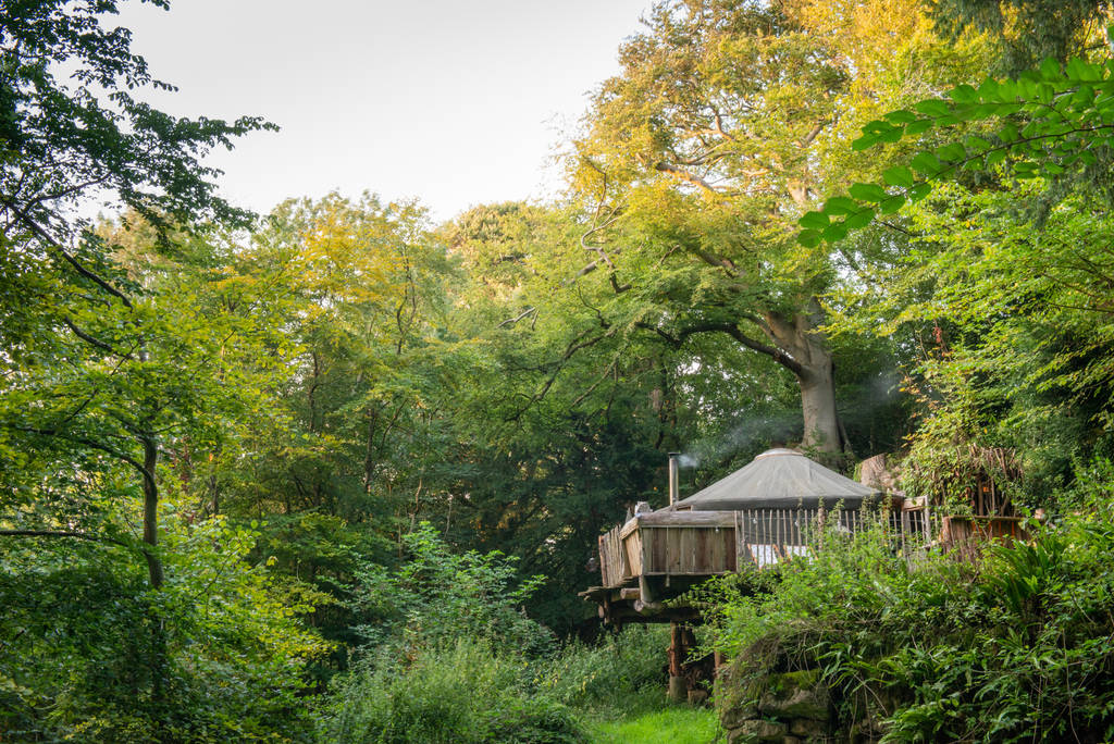 glamping-bramblewood-yurt