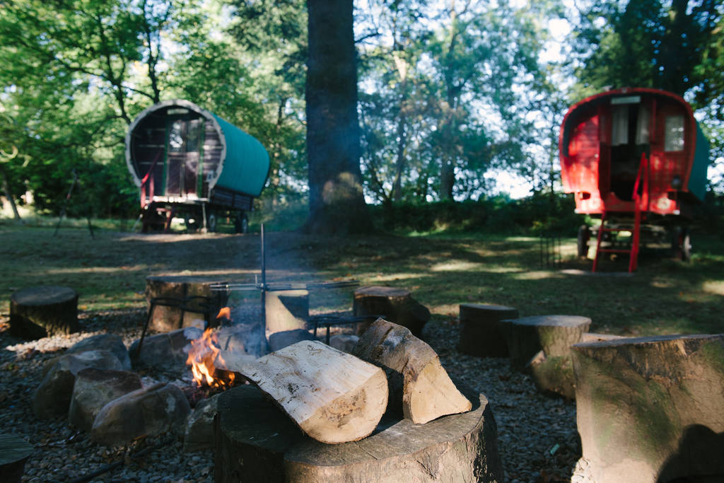 glamping-copper-beech-glade