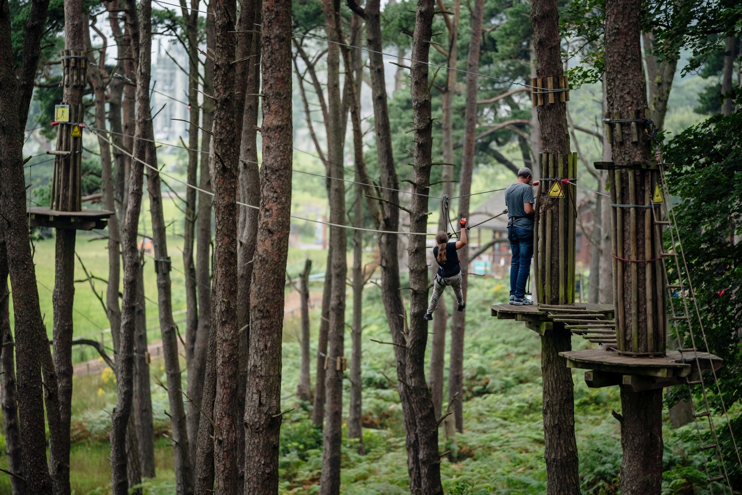 go-ape-magram-park-neath-port-talbot