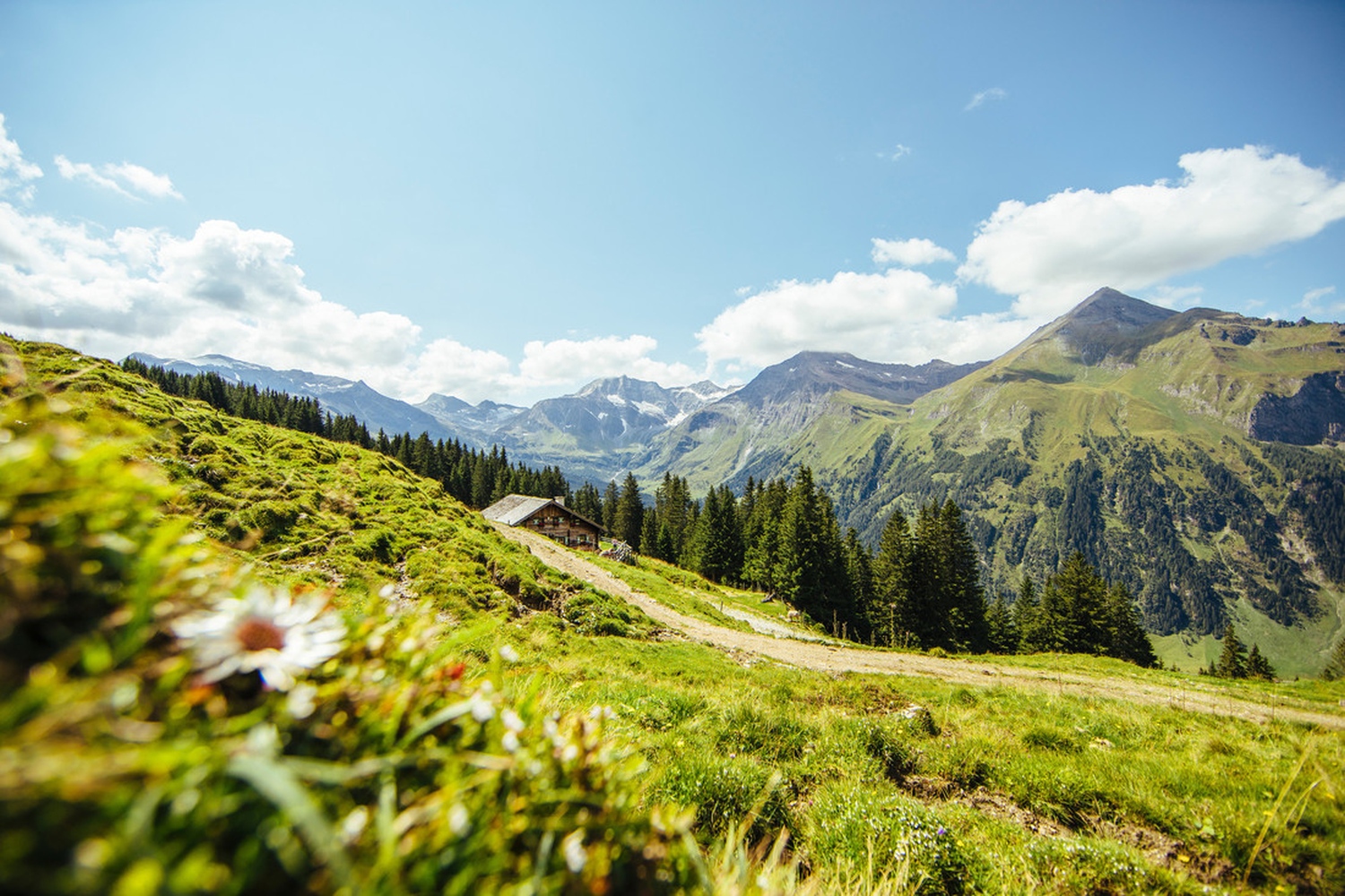 hiking-salzburgerland-austria