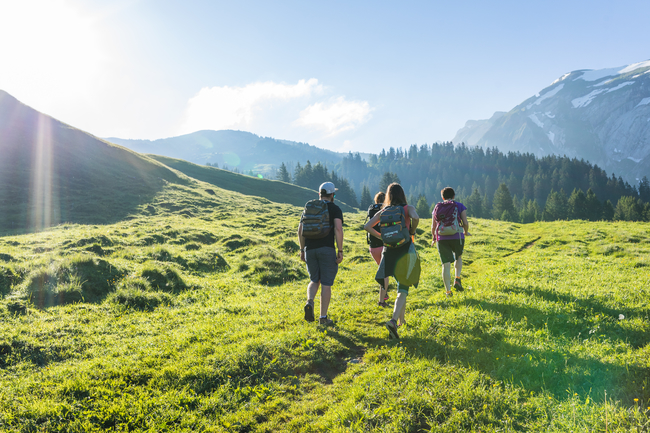 Hiking the Alpine meadows  CREDIT ollie godbold.jpg