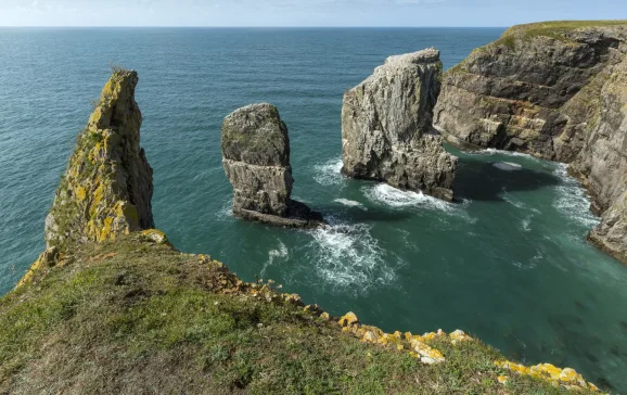 Elegug stacks Pembrokeshire Coast Wales UK CREDIT iStock Emanuele Leoni