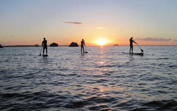 HEADER   SUP at twilight East Lothian Watersports Visit East Lothian