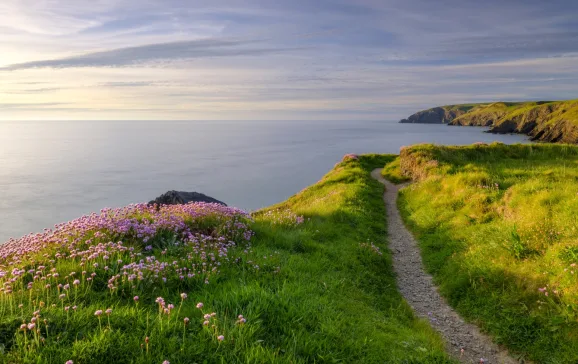 Pembrokeshire Coast Wales UK CREDIT iStock Julian Gazzard