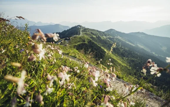 beautiful alpine scenery in the mountains of zell am see kapruncredit zell am see kaprun tourismus