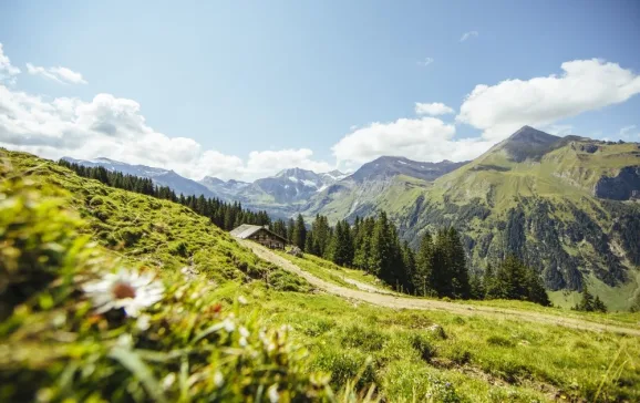 beautiful summer landscapes of salzburgerland perfect for cyclists