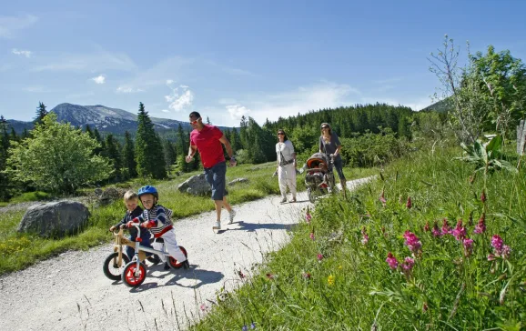 families in vercors isere france credit isere attractivite urope
