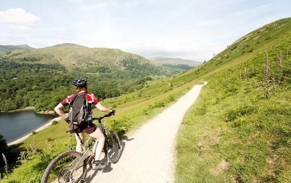 family cycle tours