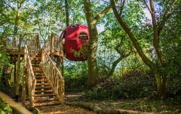 glamping book house woods goji herefordshire uk credit brook house woods