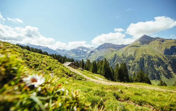 hiking in salzburgerland austria credit salzburgerland tourism