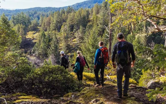 hiking trousers