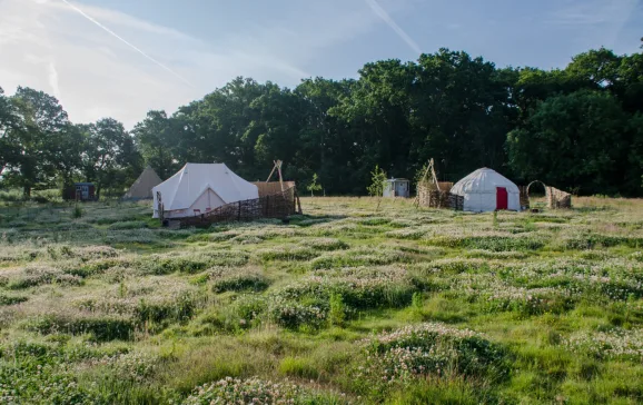 knepp estate glamping west sussex uk