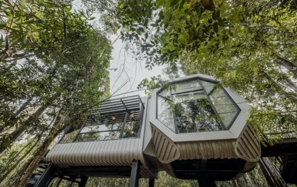 shinta mani wild jungle capsule cambodia