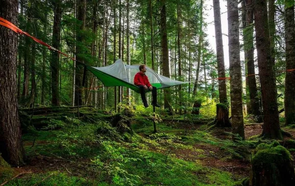 tentsile stingray op