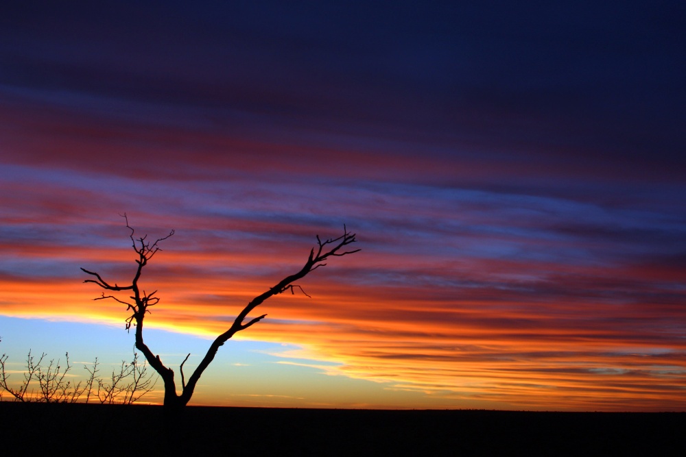 Kalahari Desert