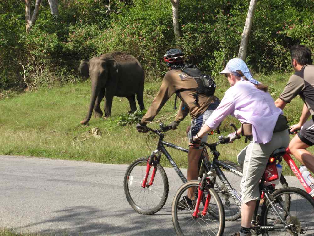 Kerala and Tropical India  2